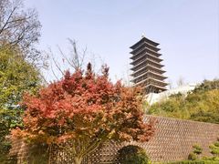 -牛首山文化旅游区