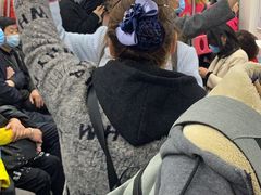 -大龙山(地铁站)