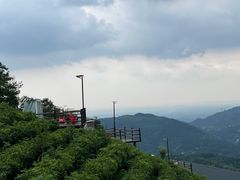 -长沙黑麋峰国家森林公园