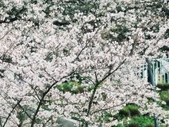 -杭州少年儿童公园