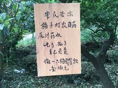 -缥缈峰景区