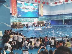 -多彩贵州城极地海洋世界