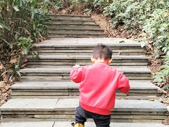 -燕晗山郊野公园