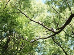 -兰拓相机租赁·二手(杭州店)