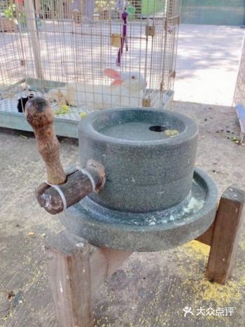 全家一起去农场体验生活啊！