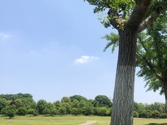 -钟山体育运动公园