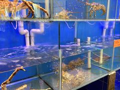 -好彩海鲜火锅饭店(银河百老汇店)