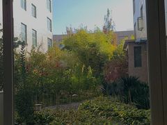 -北京大学第一医院(西城厂桥院区)