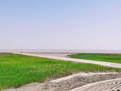 景点-南汇嘴观海公园