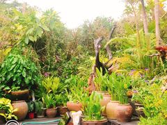 -自然餐厅(Phuket)