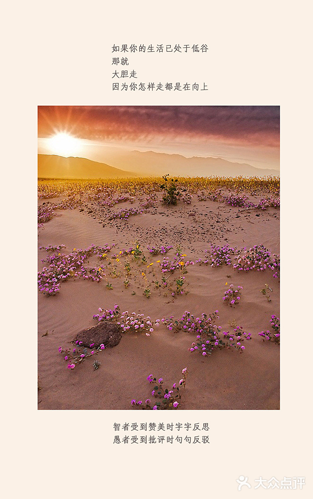 她他果儿高端家庭摄影馆