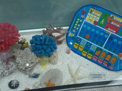 -上海海洋大学(临港校区)