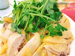 -振鼎鸡(丰庄路店)