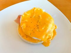 -视界美食自助餐厅·石家庄希尔顿酒店