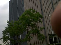 IMG-20120509-03038-同济大学图书馆(嘉定校区)