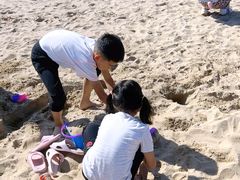 -老虎石海上公园