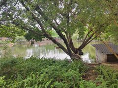 -东莞市可园博物馆