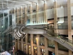 -国家自然博物馆