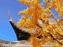 -龙华寺
