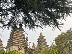 -北京石刻艺术博物馆(五塔寺)