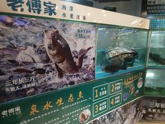 -老傅家湘潭水煮活鱼店(众一国际店)