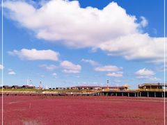 -红海滩国家风景廊道