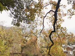 -塔川景区