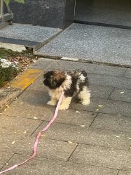 -初心纹眉洗眉·美甲美睫
