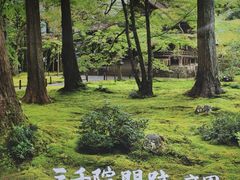 -三千院