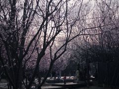 -三里河公园