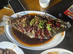 -微山岛春天里酒家