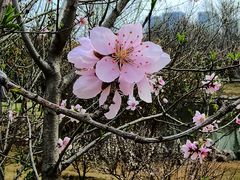 -郑州中国绿化博览园