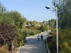 -长春公园(普阳街道)