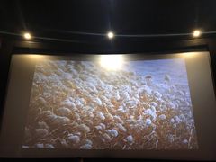 -武汉华夏国际影城(鲁广店)