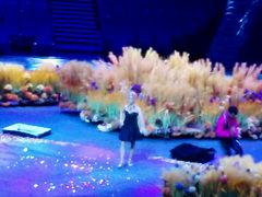 -珠海横琴长隆《卡卡虎奇遇记》