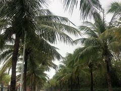 -白沙门生态公园