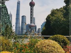 -北外滩滨江绿地