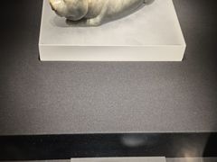 -徐州博物馆