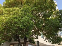 -Beans Solo豆号咖啡(百家湖花园店)