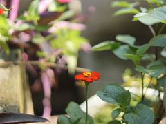 -T80科技文化国际社区-停车场