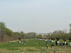 -汉长安城未央宫国家考古遗址公园