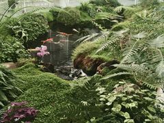 -罗红摄影艺术馆