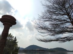 -顺峰山公园