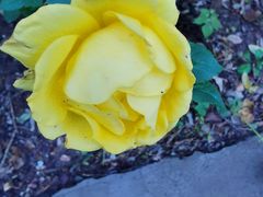 -长辛店二七公园