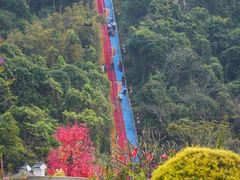 -东莞观音山旅游风景区