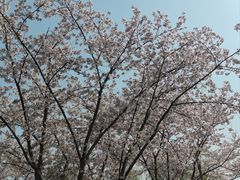-长田漾湿地公园