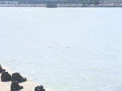 -多瑙河畔鞋履雕塑