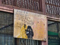 -昆明动物园