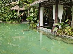 -碧桂园润杨溪谷温泉酒店