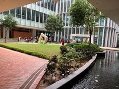 -香港大学